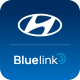 Hyundai Bluelink.